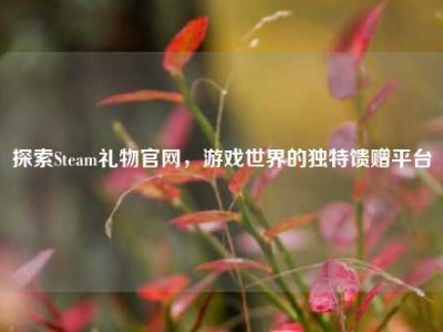 探索Steam礼物官网，游戏世界的独特馈赠平台