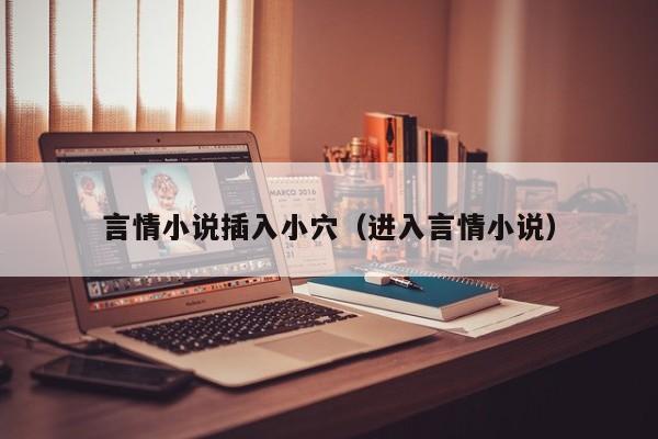 言情小说插入小穴(进入言情小说)