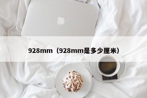 928mm(928mm是多少厘米)