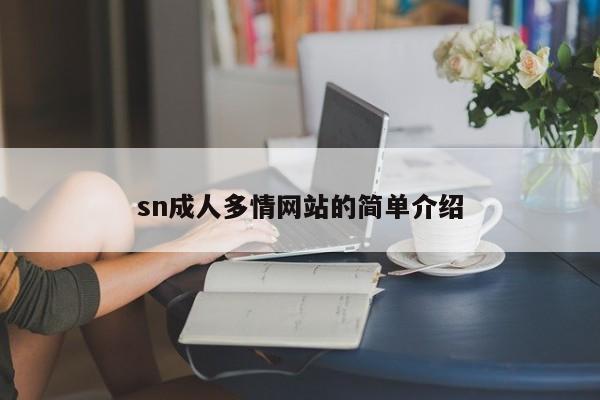 sn成人多情网站的简单介绍
