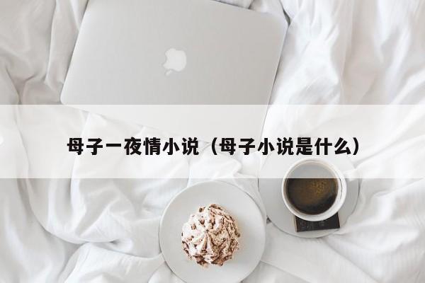 母子一夜情小说(母子小说是什么)