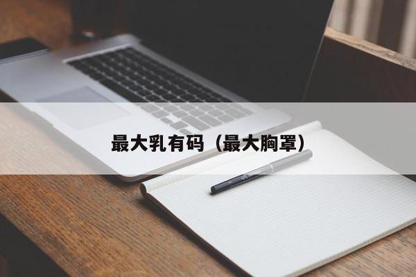 最大乳有码(最大胸罩)