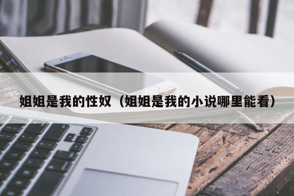 姐姐是我的性奴(姐姐是我的小说哪里能看)