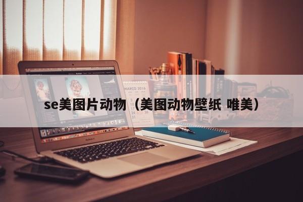 se美图片动物(美图动物壁纸 唯美)