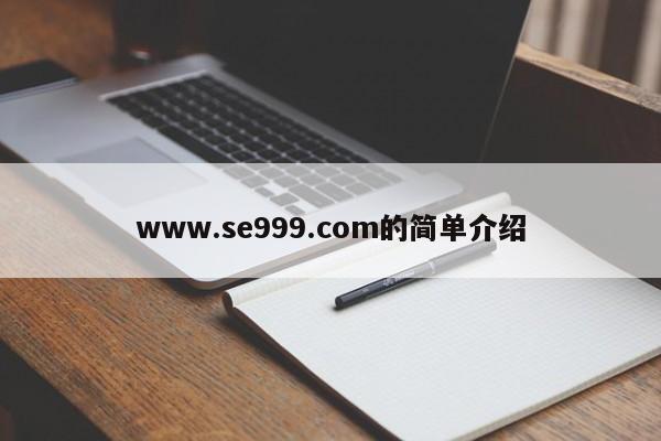 www.se999.com的简单介绍