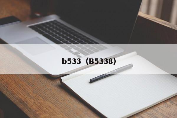 b533(B5338)