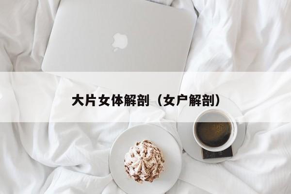 大片女体解剖(女户解剖)