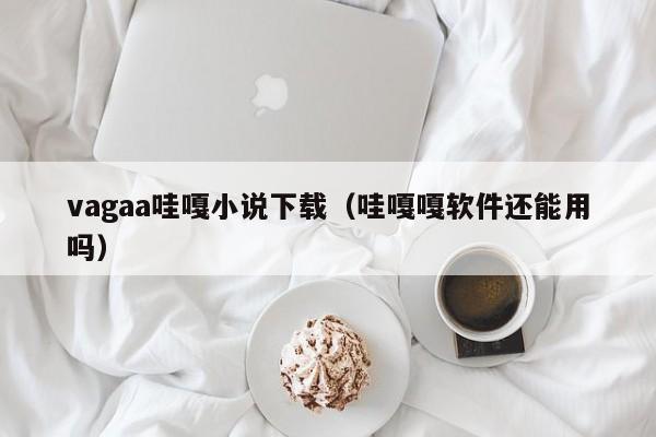 vagaa哇嘎小说下载(哇嘎嘎软件还能用吗)