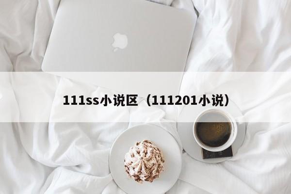 111ss小说区(111201小说)