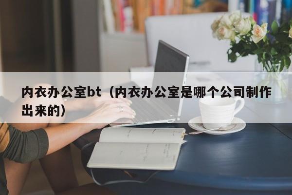 内衣办公室bt(内衣办公室是哪个公司制作出来的)