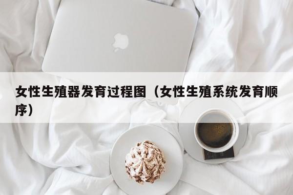 女性生殖器发育过程图(女性生殖系统发育顺序)