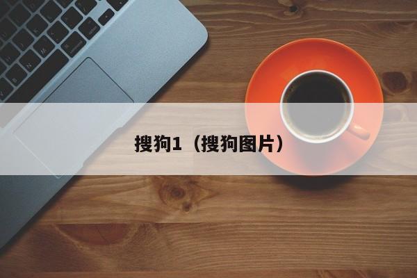 搜狗1(搜狗图片)