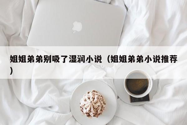 姐姐弟弟别吸了湿润小说(姐姐弟弟小说推荐)