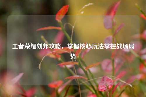 王者荣耀刘邦攻略，掌握核心玩法掌控战场局势