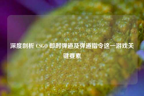 深度剖析 CSGO 即时弹道及弹道指令这一游戏关键要素