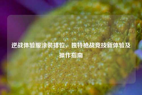 逆战体验服涂装排位，独特枪战竞技新体验及操作指南
