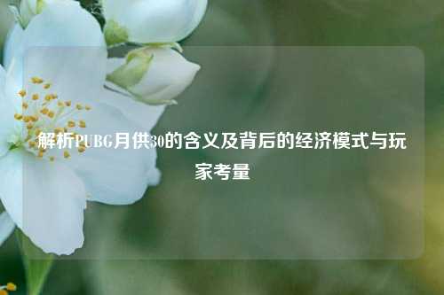 解析PUBG月供30的含义及背后的经济模式与玩家考量