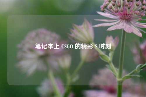 笔记本上 CSGO 的精彩 S 时刻