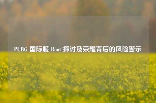PUBG 国际服 Root 探讨及荣耀背后的风险警示