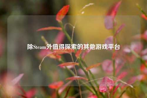 除Steam外值得探索的其他游戏平台