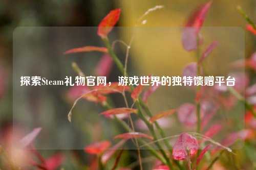 探索Steam礼物官网，游戏世界的独特馈赠平台