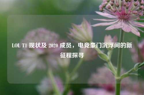 LOL T1 现状及 2020 成员，电竞豪门沉浮间的新征程探寻
