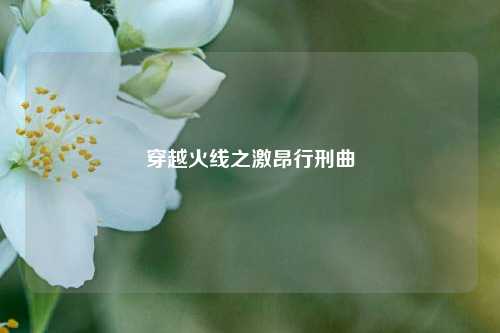 穿越火线之激昂行刑曲
