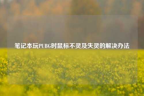 笔记本玩PUBG时鼠标不灵及失灵的解决办法