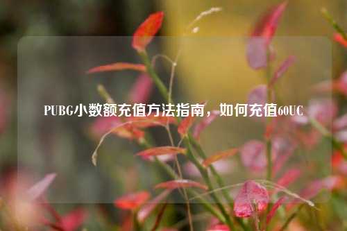 PUBG小数额充值方法指南，如何充值60UC