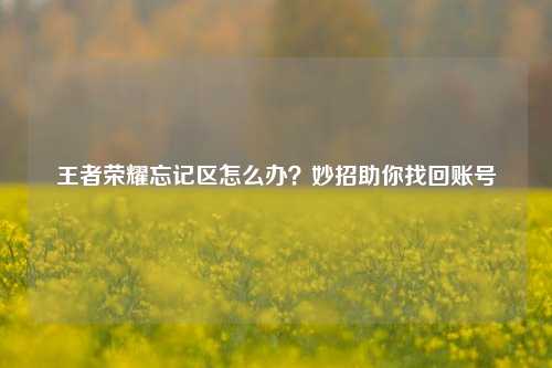 王者荣耀忘记区怎么办？妙招助你找回账号