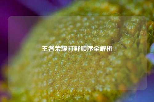 王者荣耀打野顺序全解析