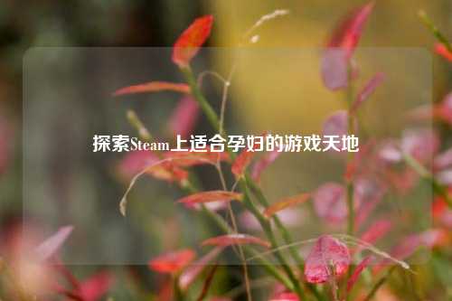 探索Steam上适合孕妇的游戏天地